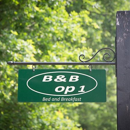 Bed&Breakfast Orvelte Exterior foto