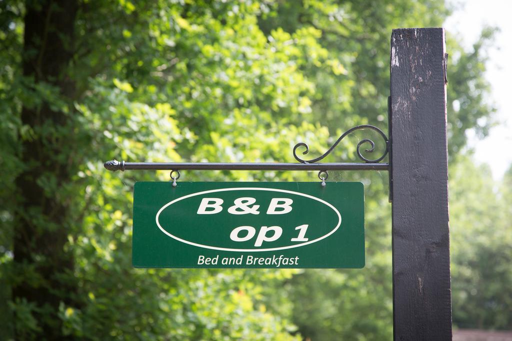 Bed&Breakfast Orvelte Exterior foto